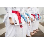 cinturón competición tenerife canarias shureido wkf rojo azul kata karate klv sport